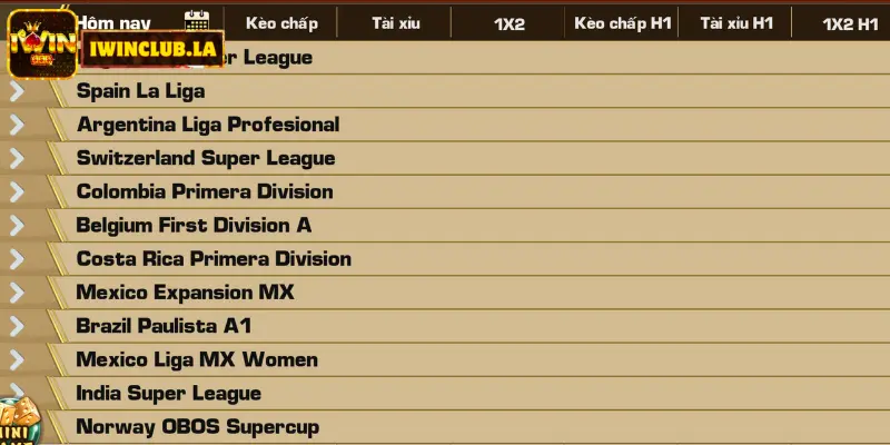 Cách cá độ kèo tài xỉu IWIN CLUB dễ thắng nhất hiện nay 2 Kèo Tài Xỉu IWIN CLUB